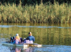 rudder boat.jpg